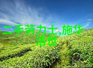 逆袭的短发女王2023年流行背后的秘密