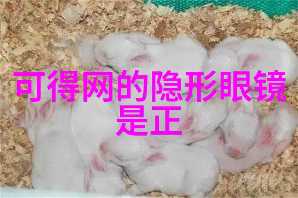 前一个后一个会撑坏的-连环效应揭秘前因后果如何相互影响