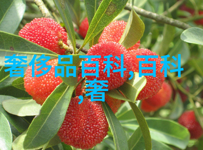 最美短发发型图片女 - 缤纷时尚探索最吸引人的短发造型