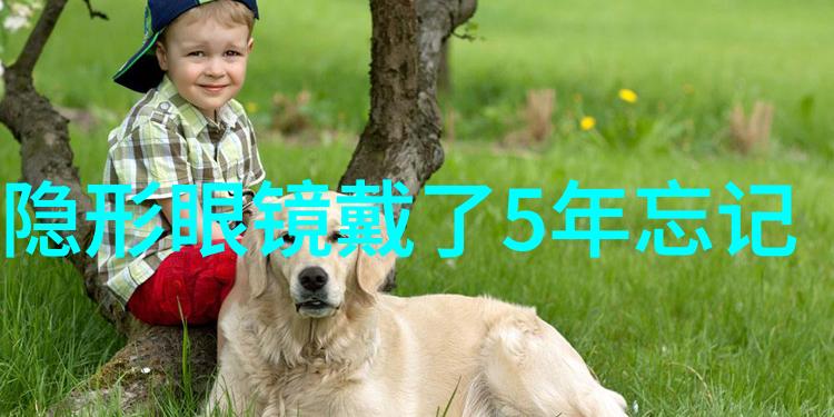 春日乐融的街角探索日本乐町的魅力