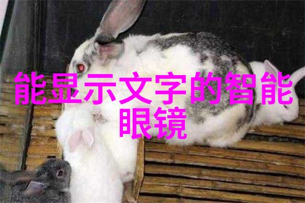 一套完整的男装搭配中哪些元素最为重要