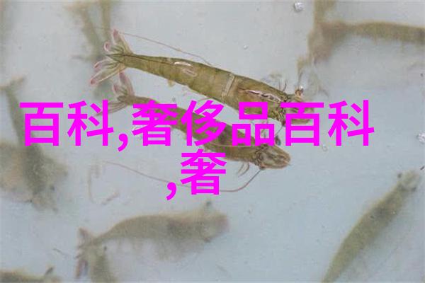 9大爬藤花卉植物营造你的私人空中花园美景