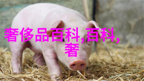 剪短新颜揭秘今年最流行的女士短发风格与搭配技巧