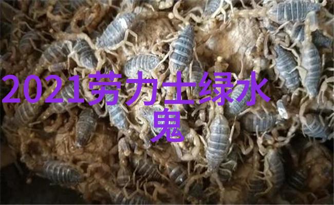 探索着迷阿司匹林的免费阅读世界解锁知识与乐趣的无限可能