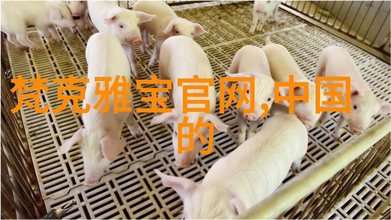 沉醉于香水味的迷雾中我们是否能找到属于自己的芬芳