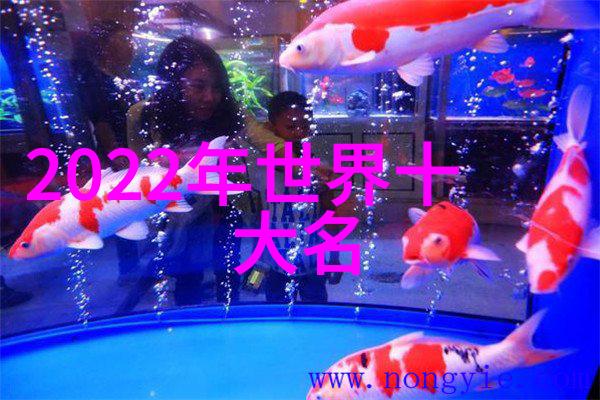 灵魂的回声 通过文字描述表达出对于不再能听到的情感体验