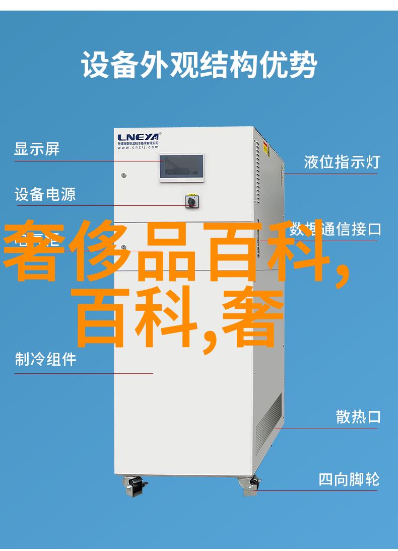 美体秘诀如何通过泳装网提升身材线条