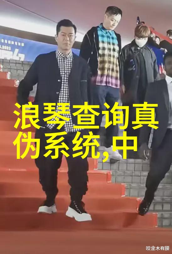 农村夫妻的圣诞之夜温馨与热情的交响曲