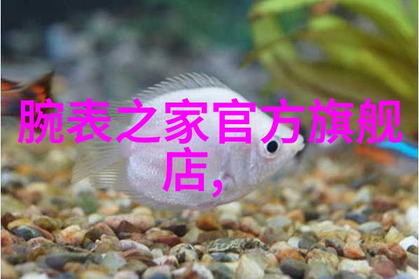 如此走心的创意神器让你轻松过上懒人生活享受生活的美好