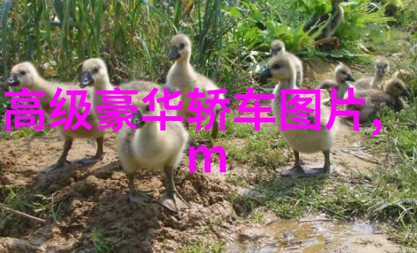 边做饭边被躁我和邻居的视频-邻里间的意外热点边炒菜边遭骚扰的无奈生活