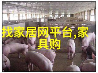 穿越时空的幸福炒饭古今交融的美味传奇