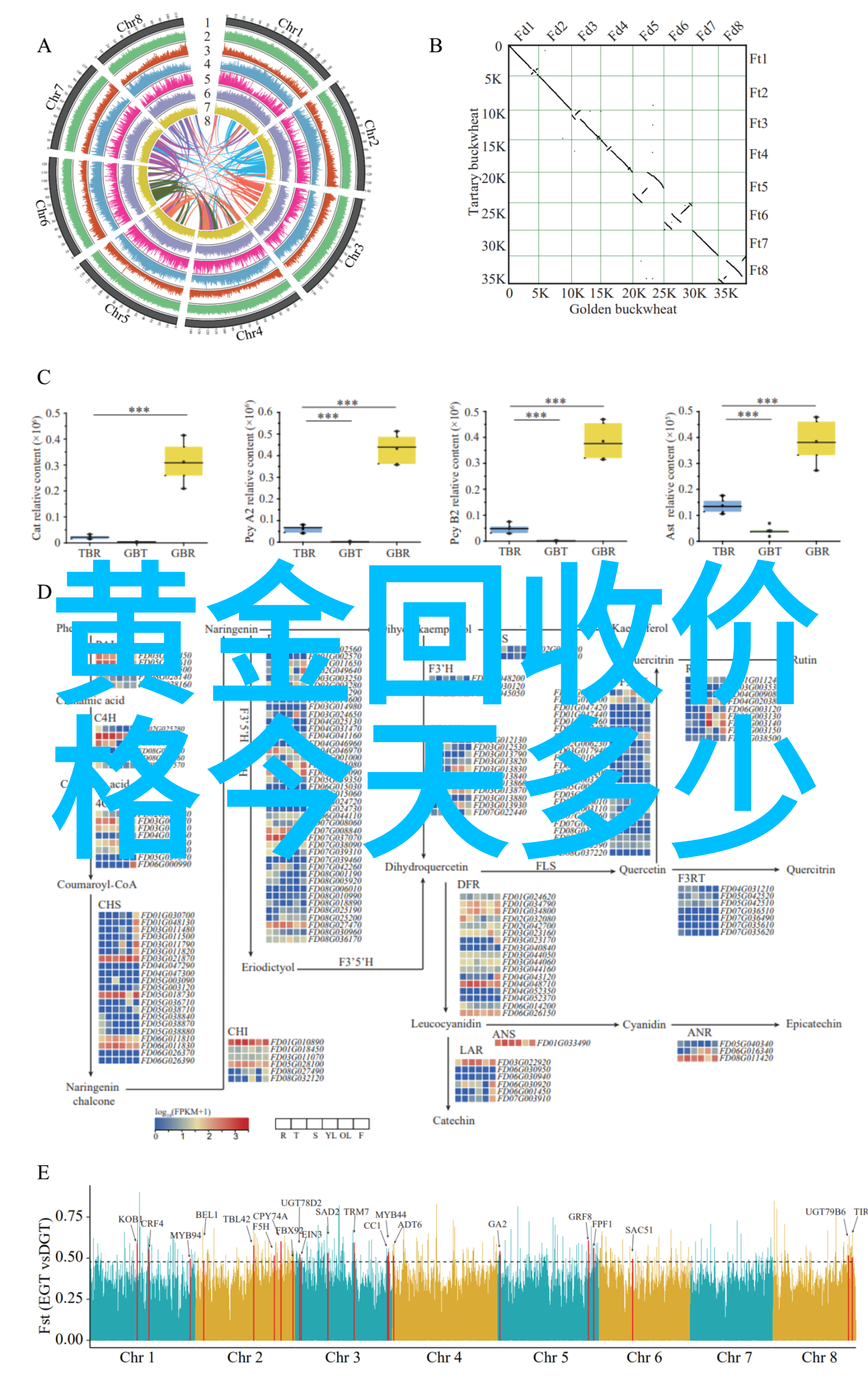 做出完美休闲造型从鞋子开始一步一步来