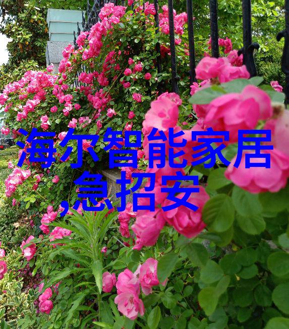 金秋盛宴世界顶尖时尚配角世界手表排名前50名美度秋季婚礼对表推荐