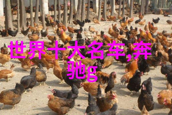 网络时代的色彩盛宴探索色125综合网的魅力与意义