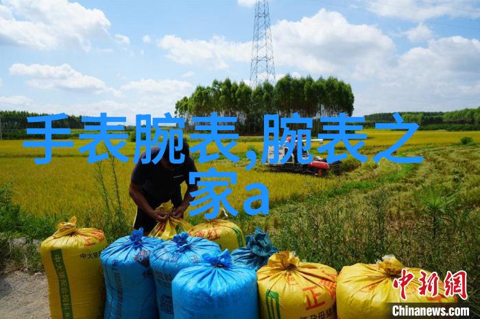 纯A男团逆袭之OMEGA挑战超越极限的音乐竞技