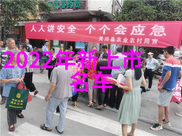 探讨为什么一些产品类别在今年的双11促销中尤其受欢迎