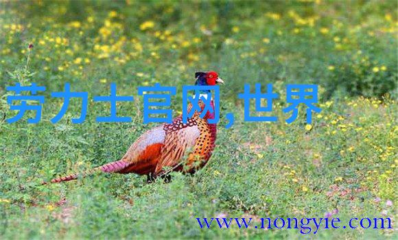 潮流男士发型新趋势时尚界的创新之选