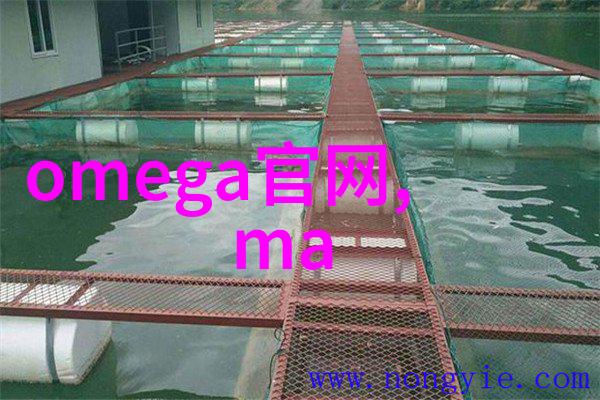 上司背后的秘密一段不为人知的婚外情故事