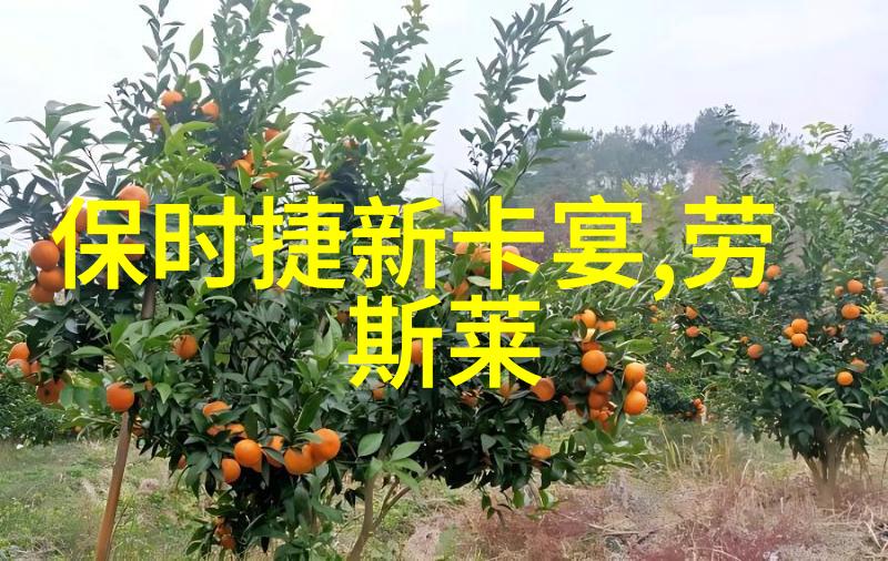 厨房里的激战烹饪大师的对决