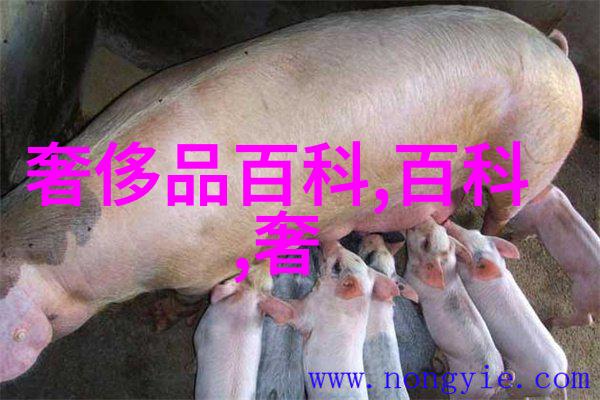 黑料传播不间断揭秘网络流行语背后的文化现象与社会影响