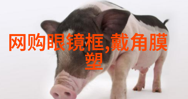 249在这个数字背后隐藏着什么秘密