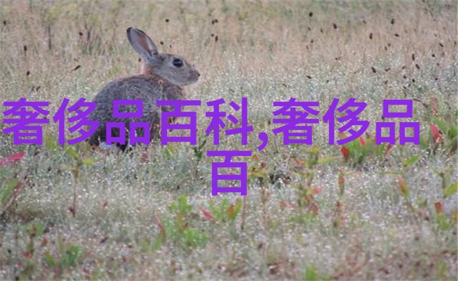 年轻女孩推荐果木香办公室温暖指数大增自然之美尽在此刻