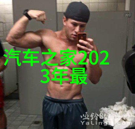 双子甜饼探索双胞胎一前一后的夹心饼干传说