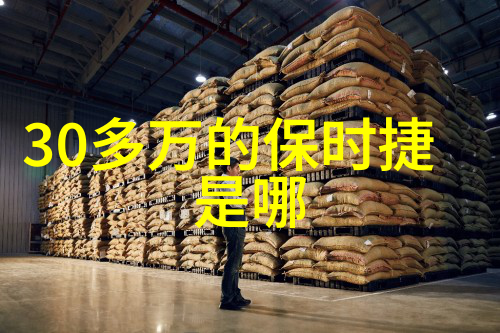 女的越疼男的越往里寨主之谜角色扮演游戏中的挑战与策略