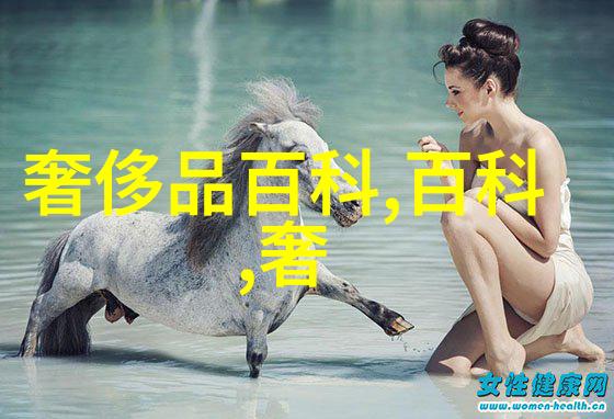 理发店新装效果展示