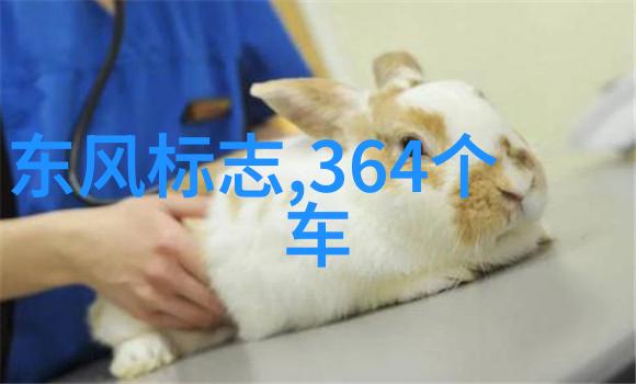 口述换爱情感共鸣的交换游戏深度人际关系探索