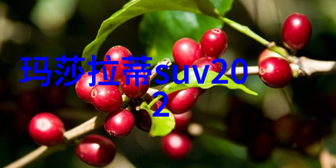情感纬度24小时情歌时刻情感共鸣时尚旋律永恒回响