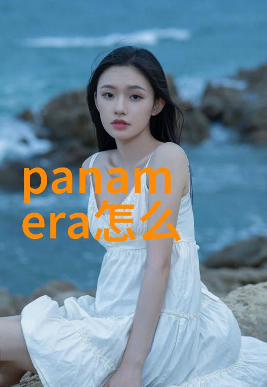 探秘 的神秘资源解锁中文世界的海贼之谜
