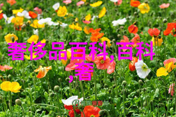樱桃琥珀的魅力探索一种独特的自然宝石