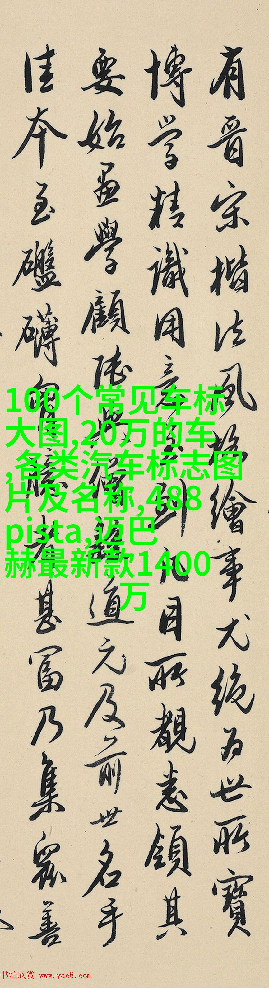 双层马尾