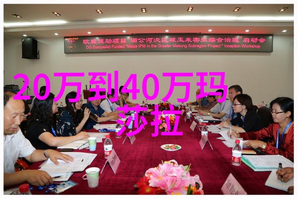 秀发魅力探索创意美发技艺的艺术世界