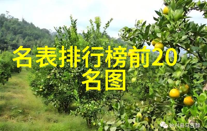 深邃魅力黑色与其他颜色的搭配秘诀是什么