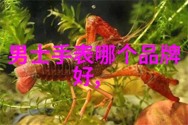 急招安装家具500元一天我这里急需一名木工哥哥负责家里的家具安装工作每天五百块这个价格对我们来说已经