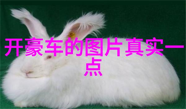 卡地亚镂空腕表杰作精选手表回收价格超值惊喜等你来挑