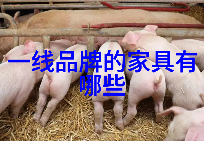 十代雅阁新一代都市流体动力