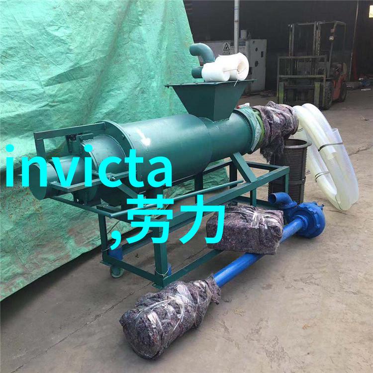 探索汉语词汇的奥秘从hangu到语言文化的深度