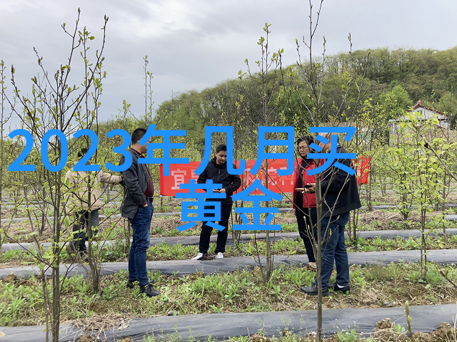 披肩长度完美线条为30后女生量身定制的漂亮造型