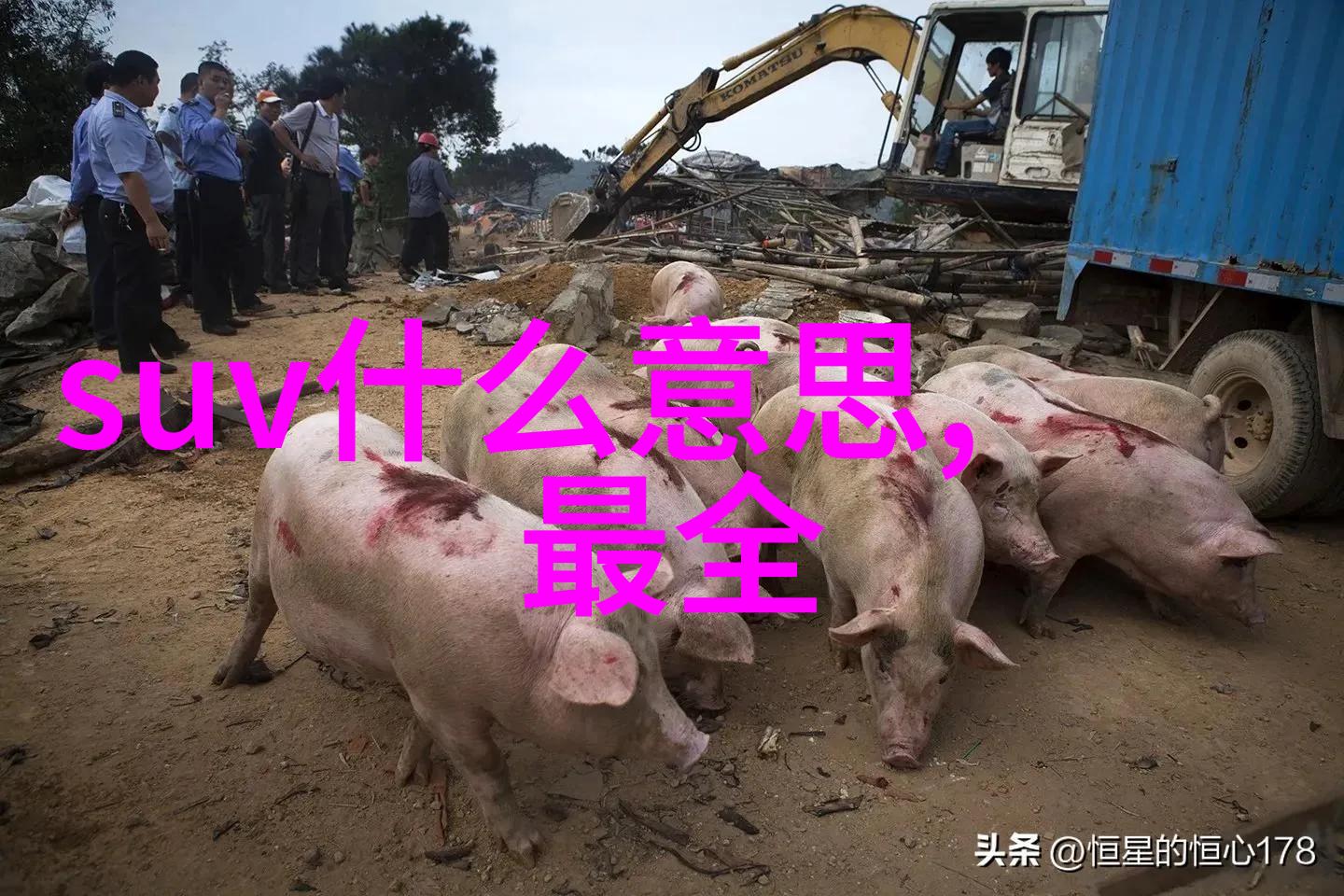 绽放的甜蜜一口一口吃掉胸口奶油的诗意瞬间