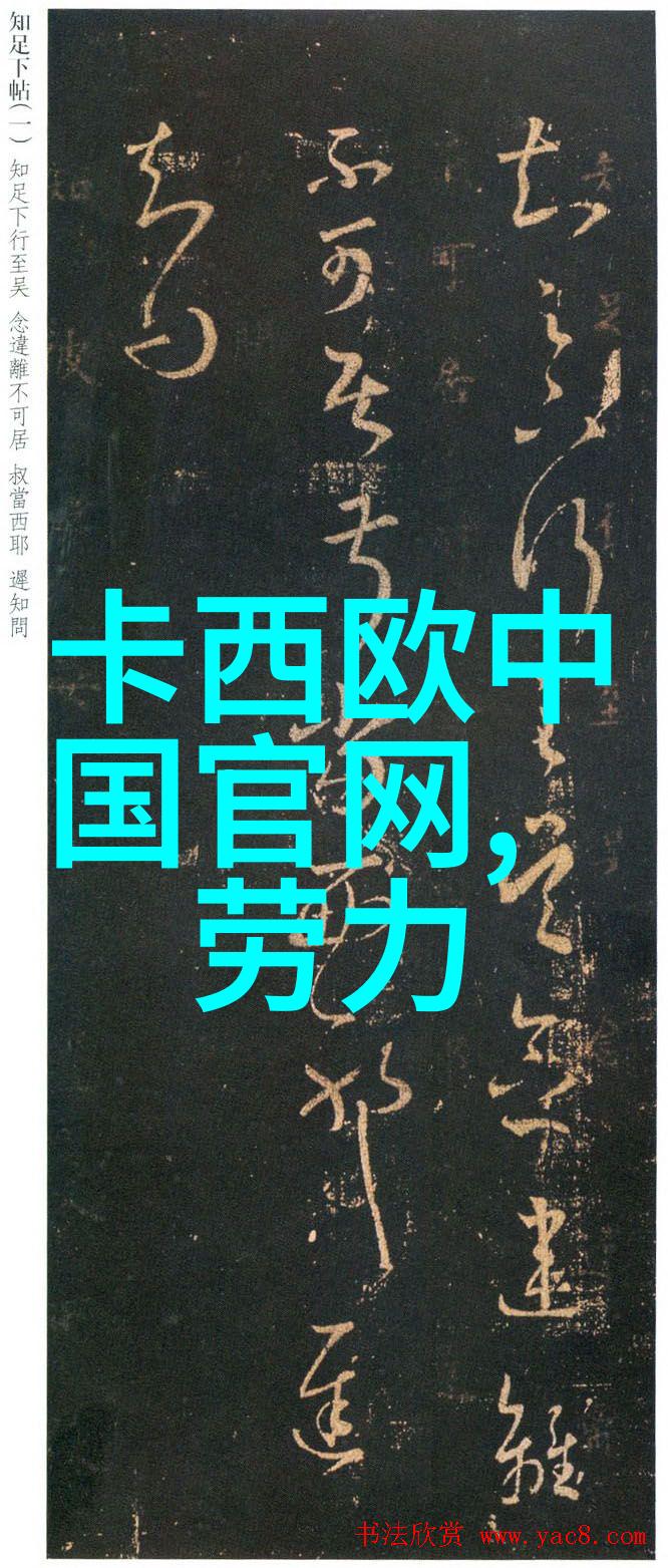 第一次去嫂子家新房被她家窗帘吸引简约还上档次