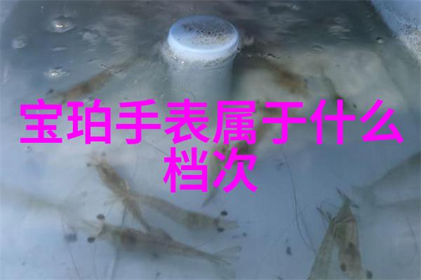 家居美物捕梦网将噩梦过滤装饰你的梦境