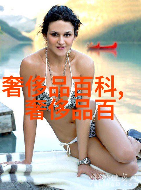 绝代家仆探秘极品家丁的荣耀与沉浮
