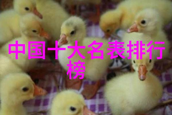 染发调色基础知识 - 掌握色彩变换的艺术从原色到终颜的旅程
