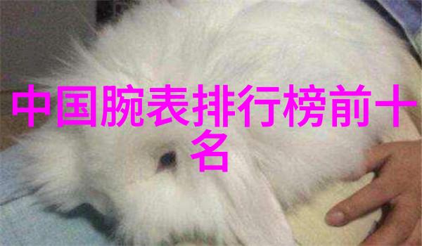 深入缅北原始雨林探秘by扇葵的奇迹