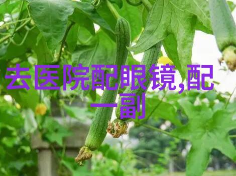 字母的舞会26个英文字母音标的幽默故事