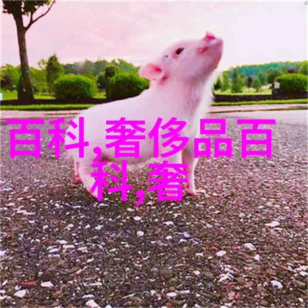 2020男士中长发发型时尚新篇章的绽放