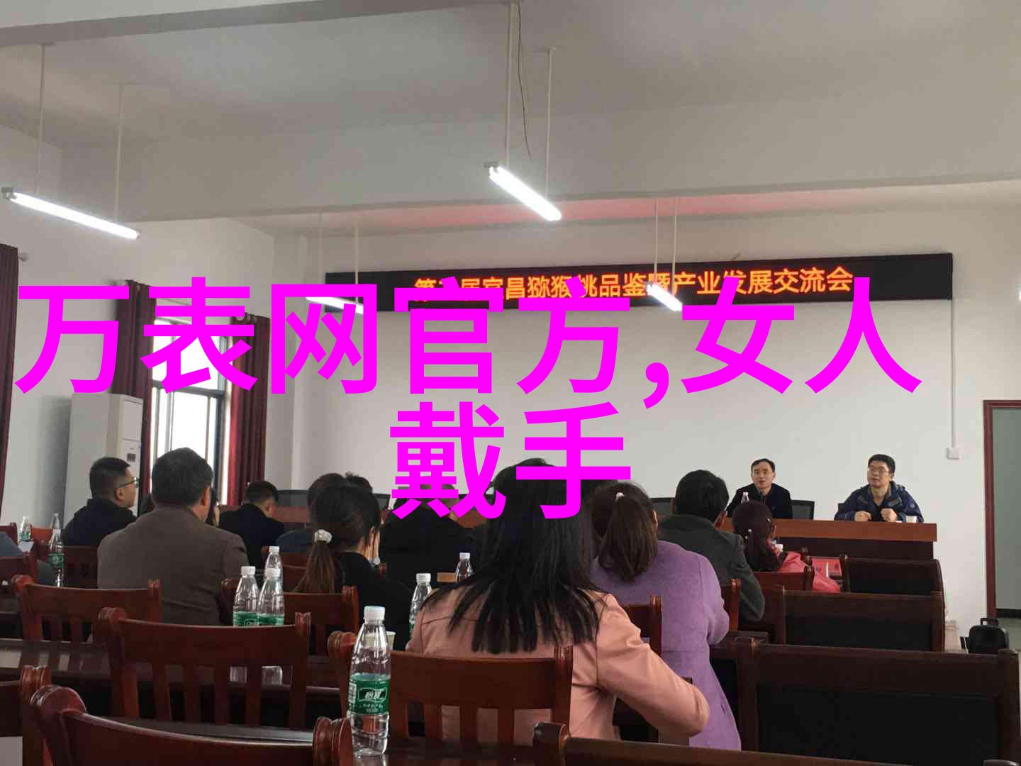 速影挑战双男主驾驭豪车的刺激旅程